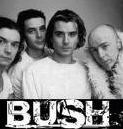 BUSH